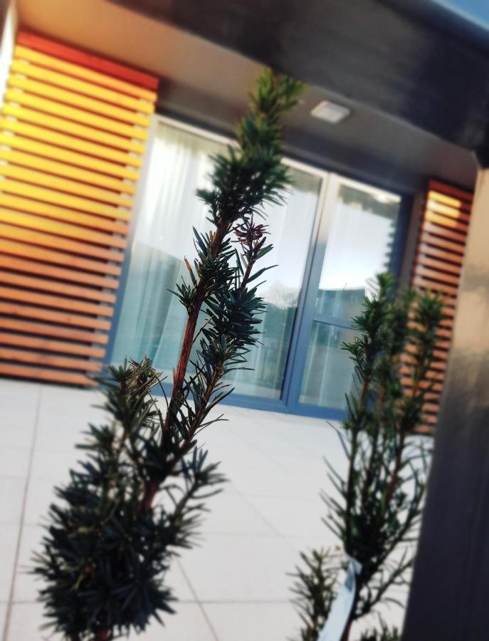 Apartament "Oldmountain" Olimpijska 1C 1 슈차이르크 외부 사진